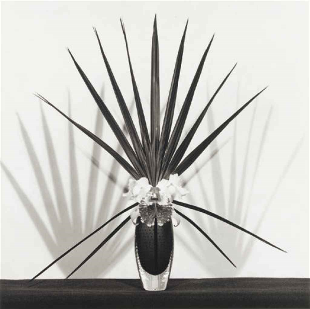 ROBERT MAPPLETHORPE (1946-1989)