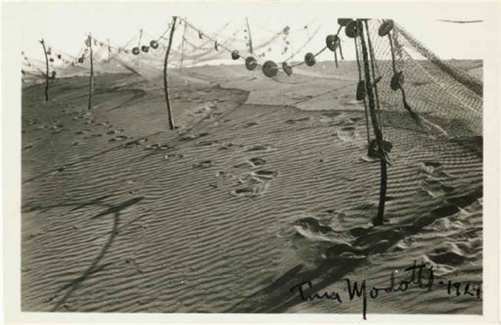 TINA MODOTTI (1896-1942)