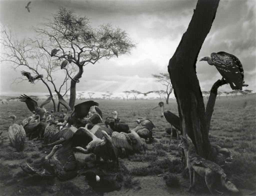 HIROSHI SUGIMOTO (B. 1948)
