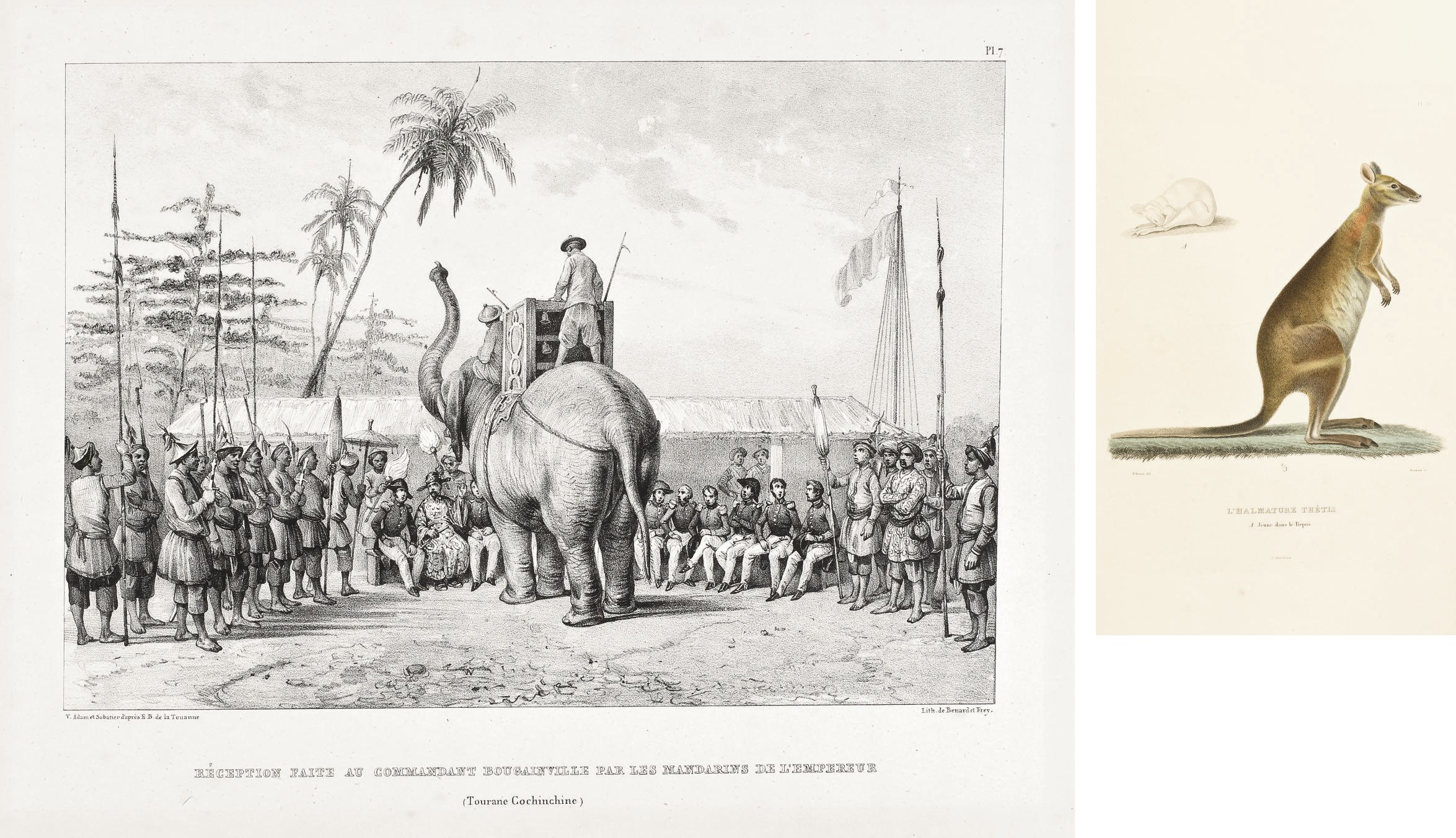 BOUGAINVILLE, Hyacinthe-Yves-Philippe-Potentien, baron de (1781-1846). Journal de la Navigation Autour du Globe de la frégate La Thétis et de la corvette L'Espérance pendant les années 1824, 1825 et 1826. Paris: Arthus Bertrand, 1837.
