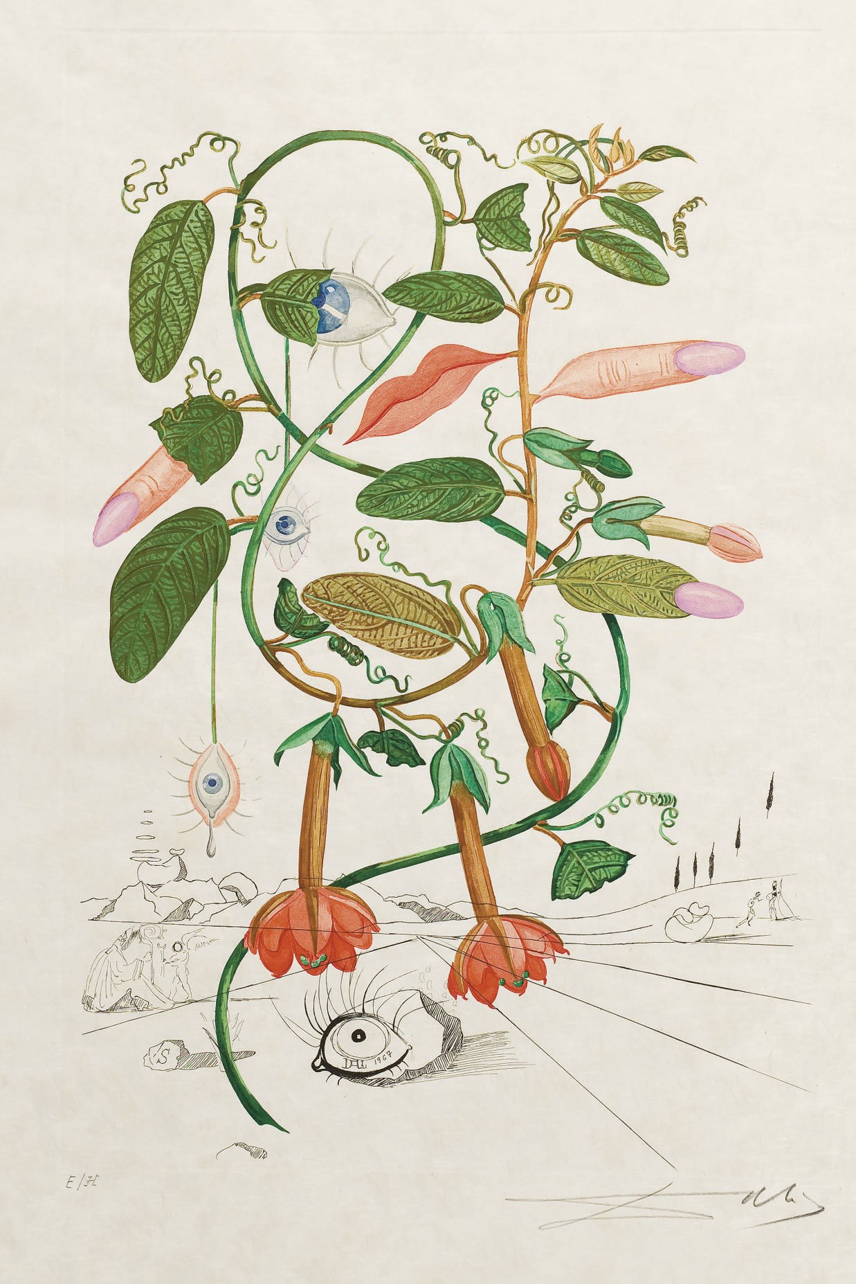 DALI, Salvador (1904-1989). Flora Dalinae. Flore. Paris: Maurice Gonon, 1969.