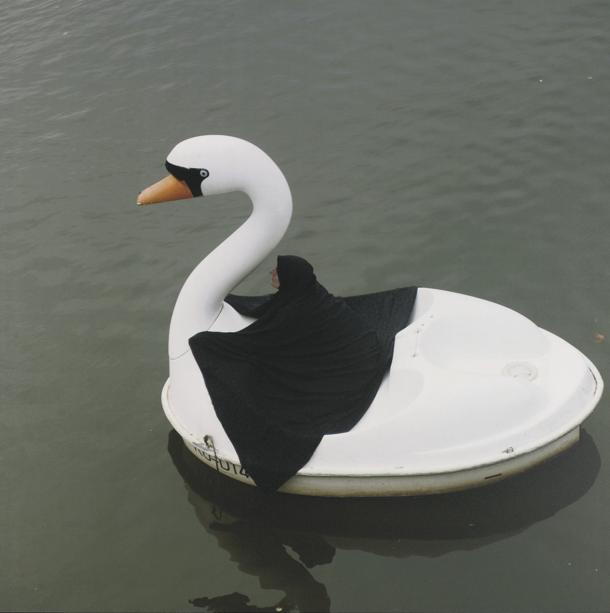 Parastou Forouhar (Iranian, b. 1962)