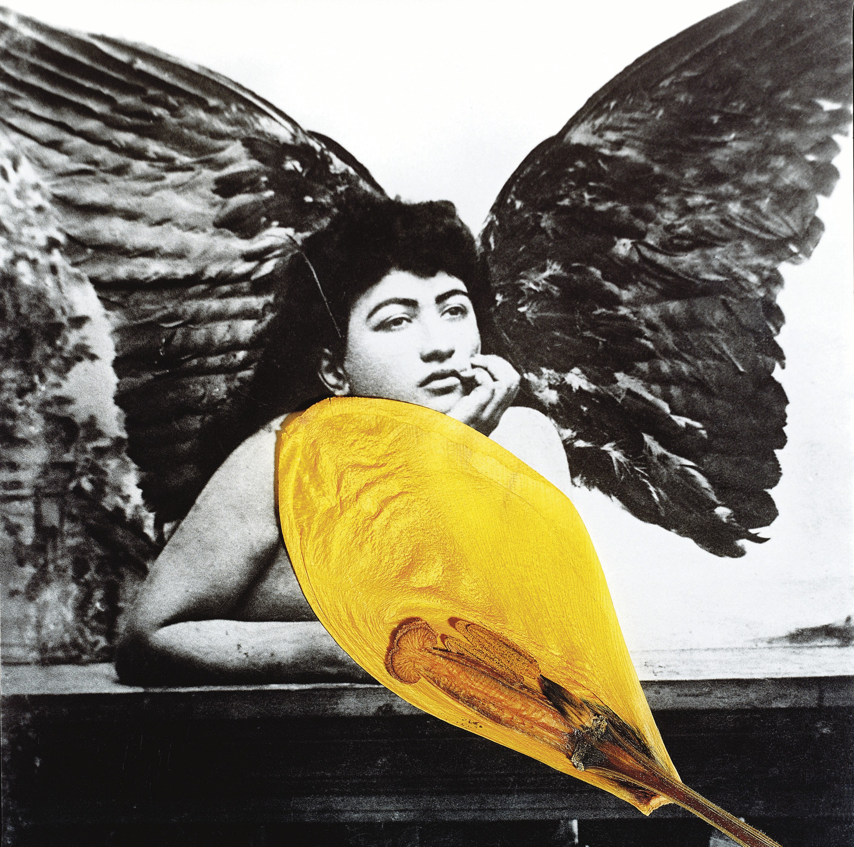 Bahman Jalali (Iranian, b. 1944)