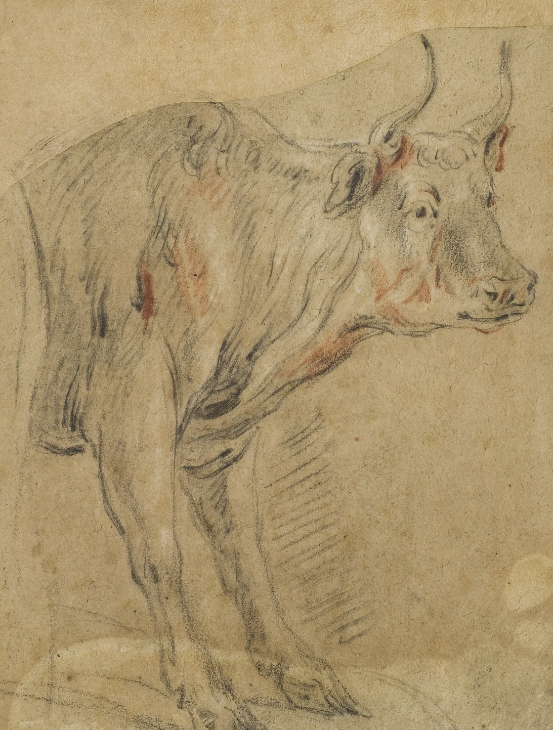 JACOB JORDAENS (ANVERS 1593-1678)