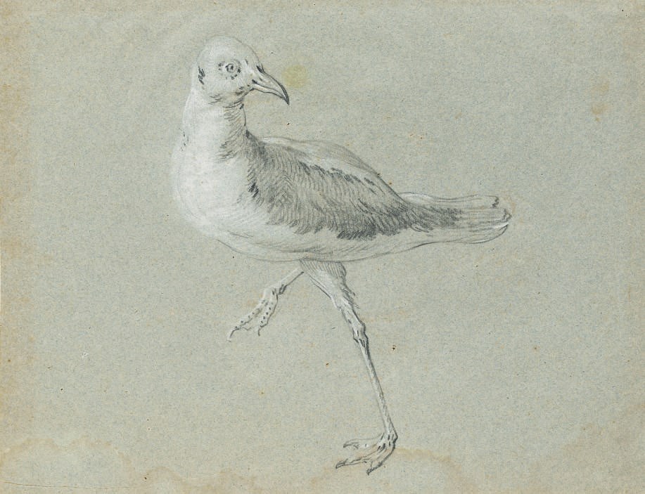 JEAN-BAPTISTE OUDRY (PARIS 1686-1755 BEAUVAIS)