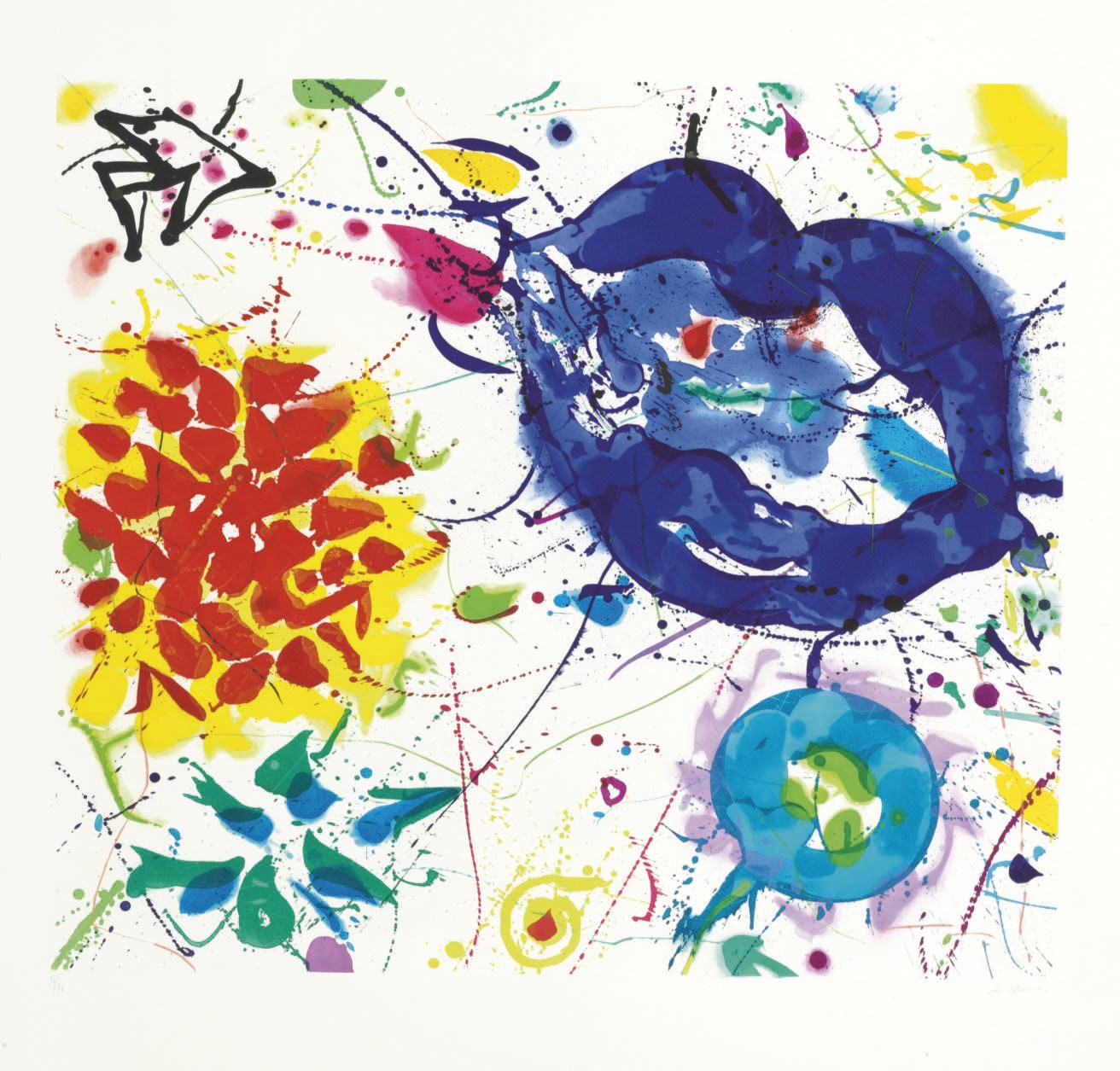 SAM FRANCIS