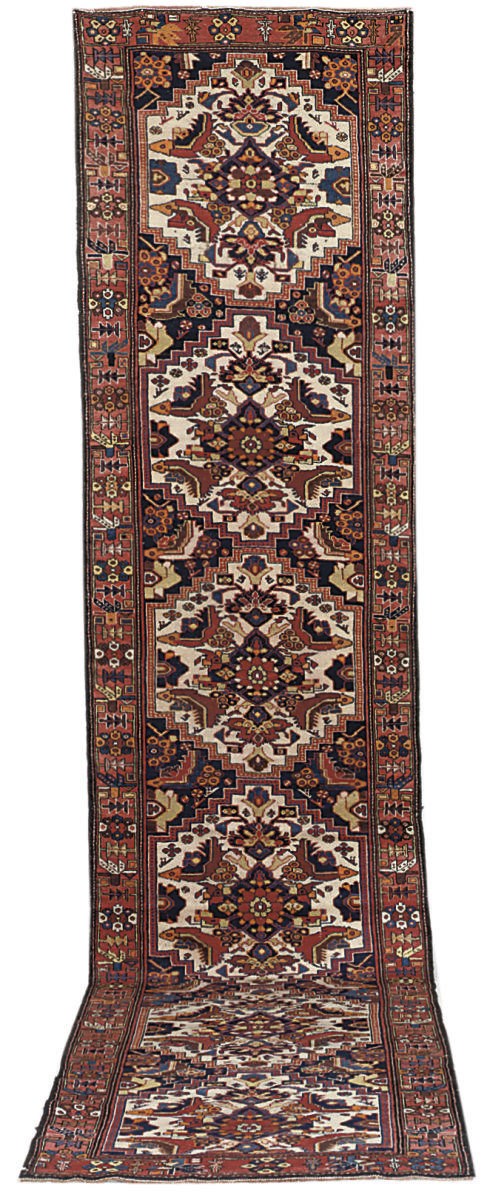 A fine Malayir runner