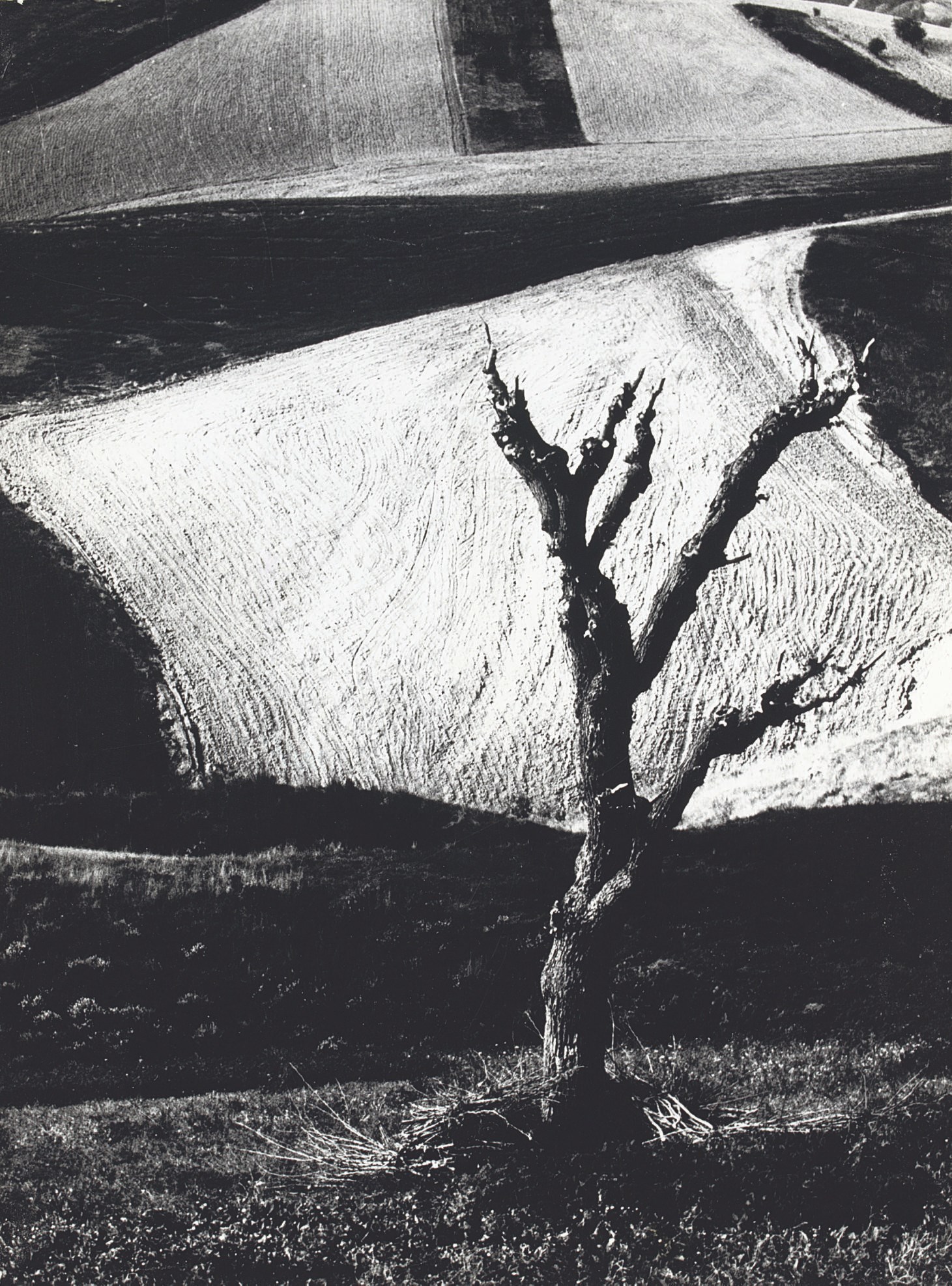 MARIO GIACOMELLI (1925-2000)