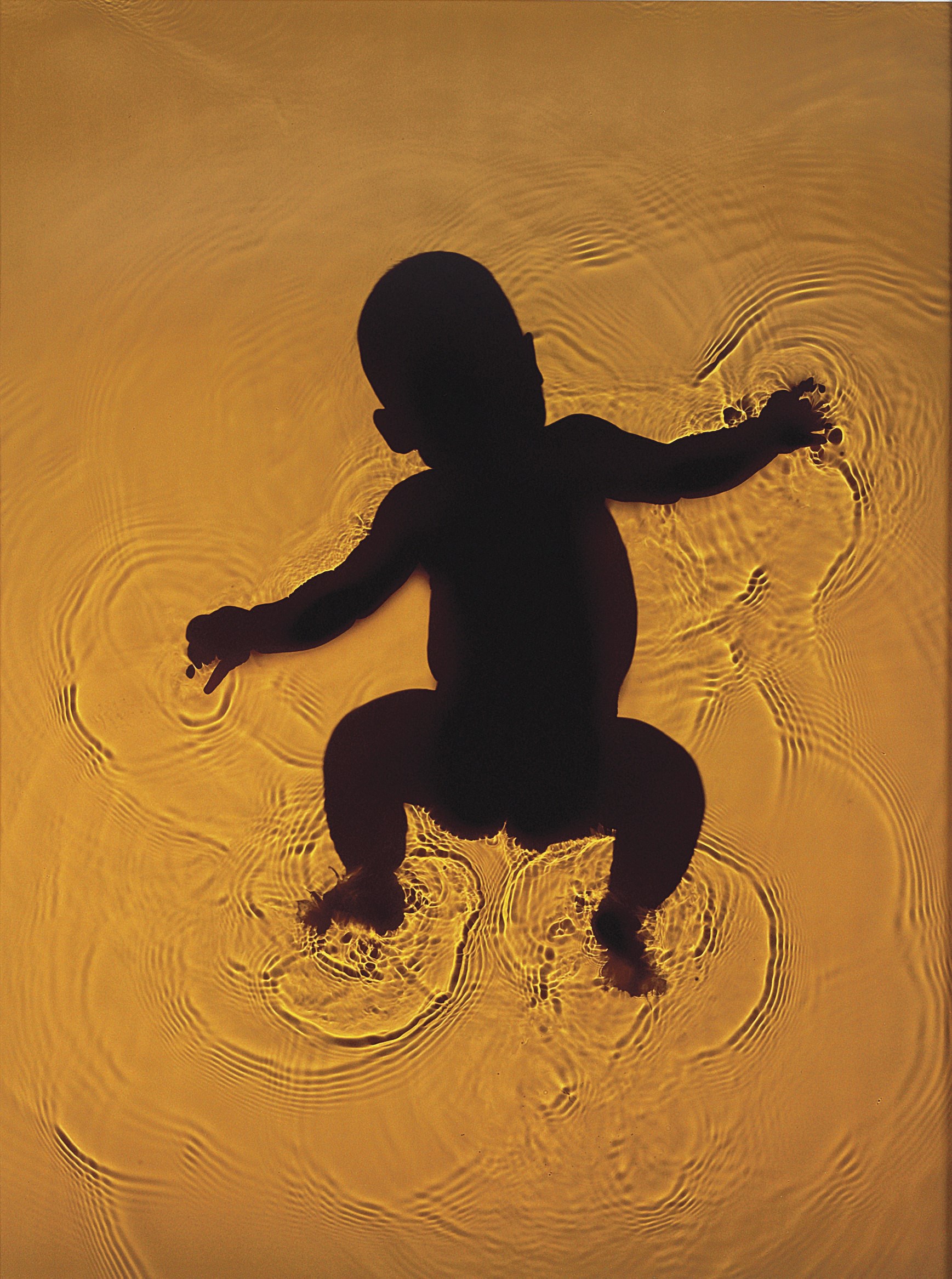 ADAM FUSS (b.1961)