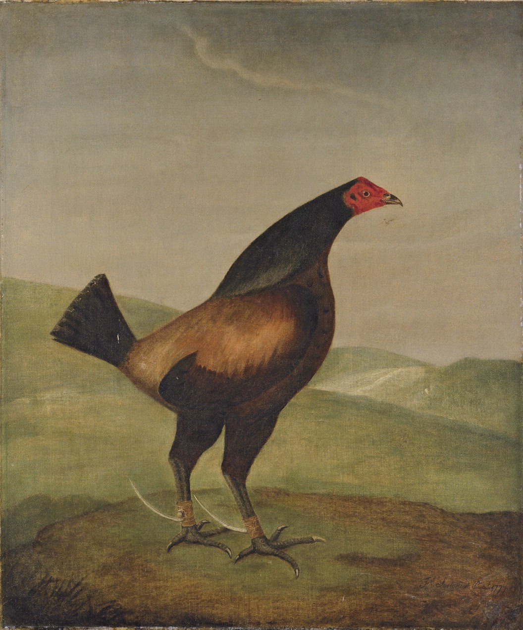 Francis Sartorius (1734-1804)