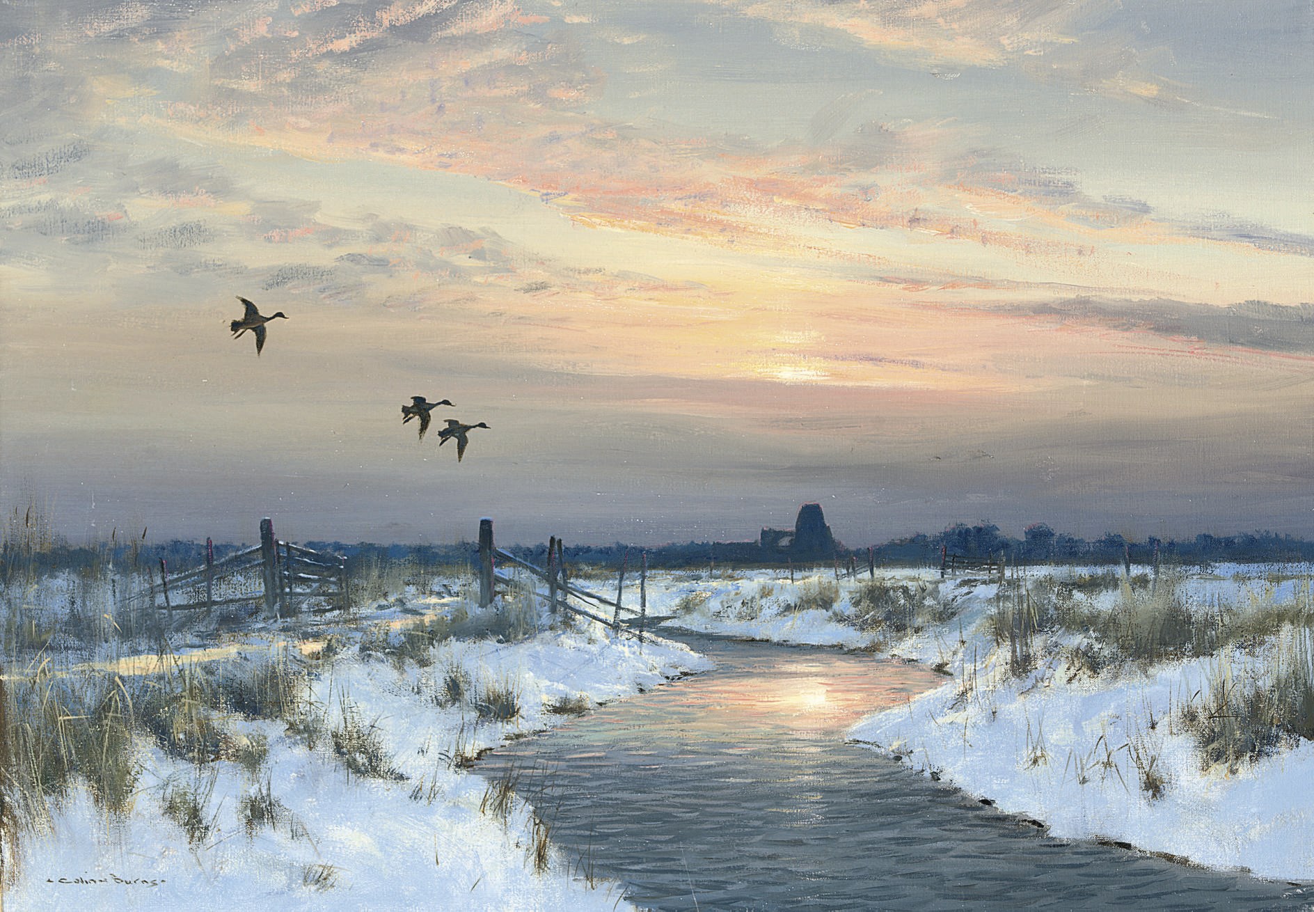 Colin W. Burns (b.1944)