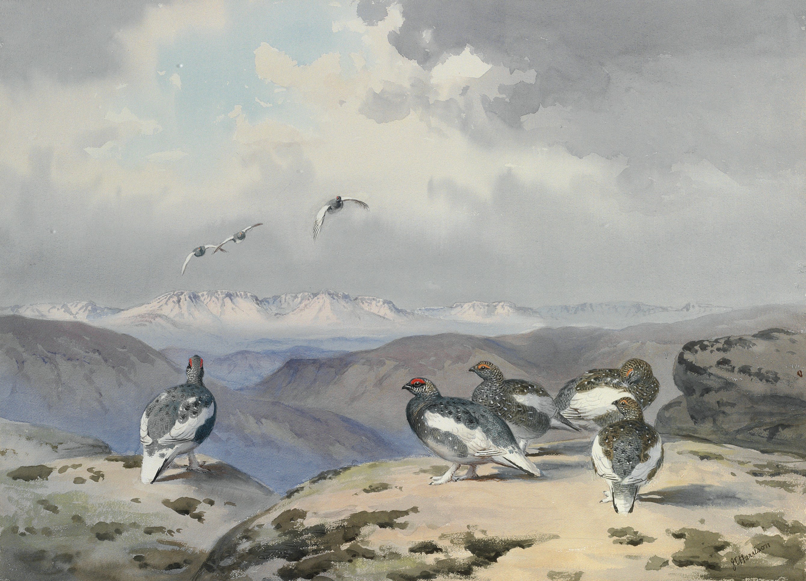 John Cyril Harrison (1898-1985)