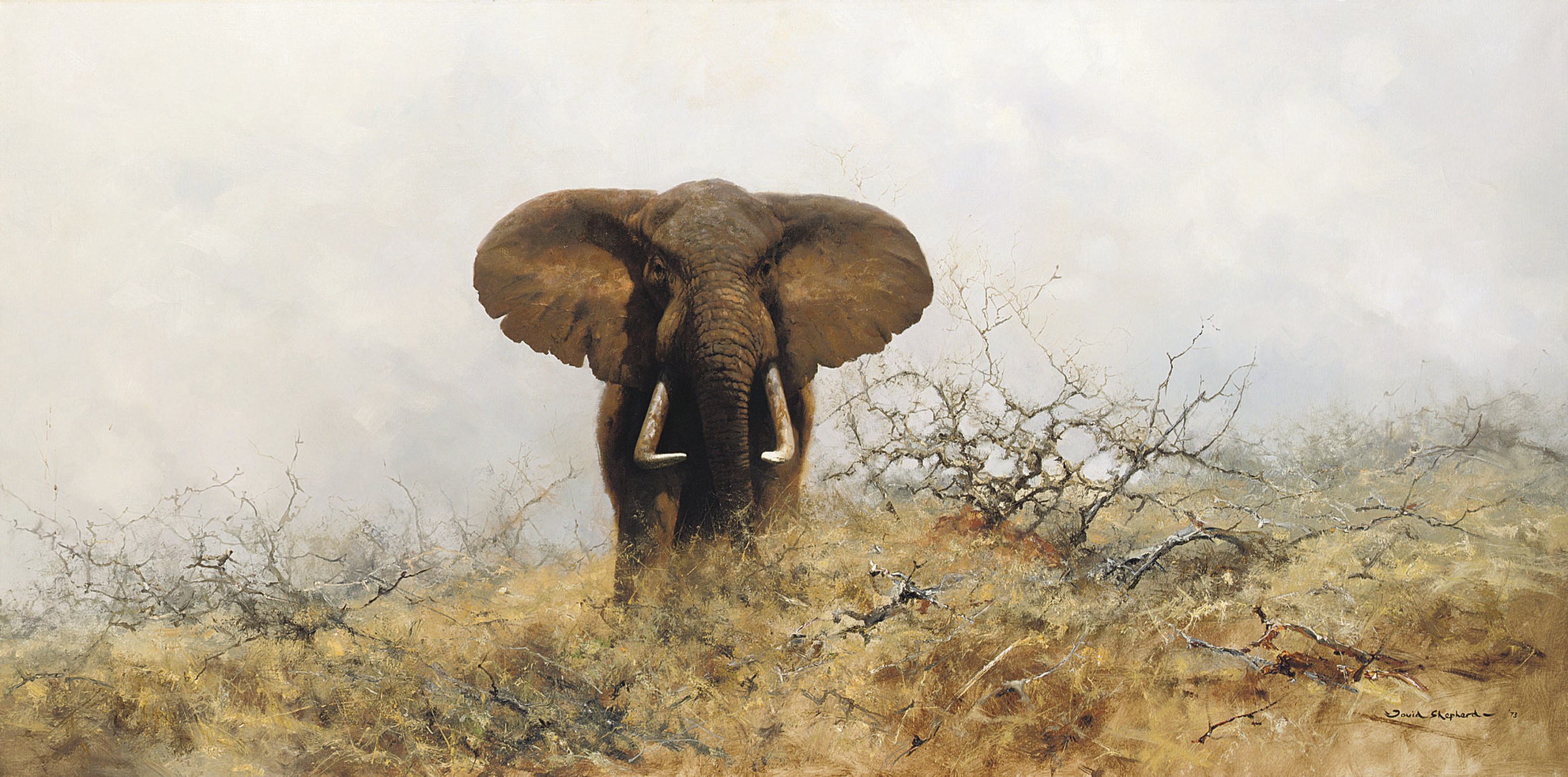 David Shepherd (b.1930)
