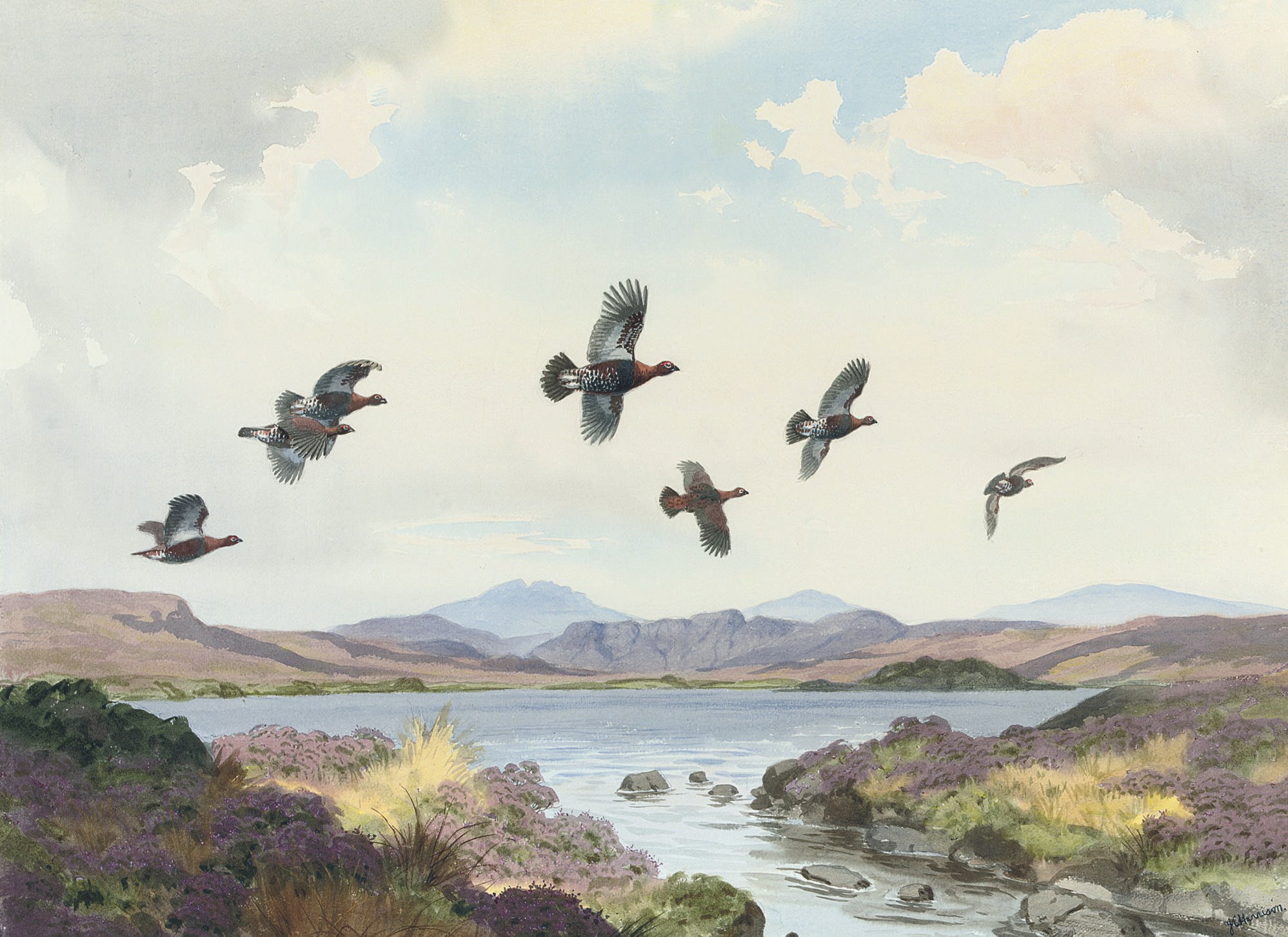 John Cyril Harrison (1898-1985)