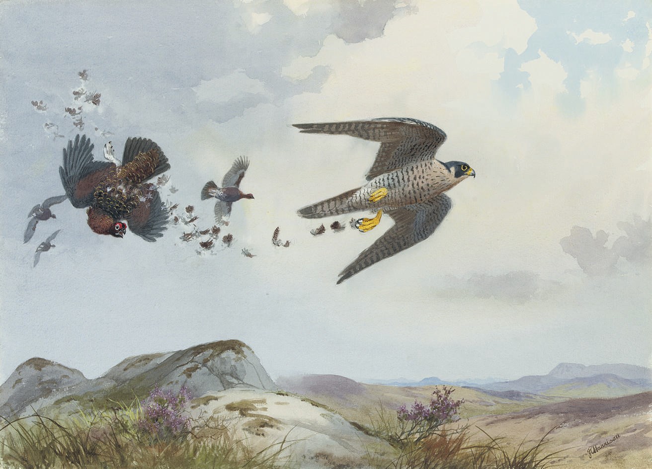 John Cyril Harrison (1898-1985)