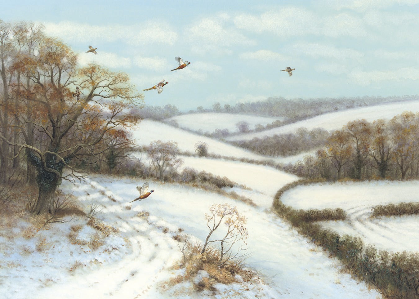 Richard Robjent (b.1937)