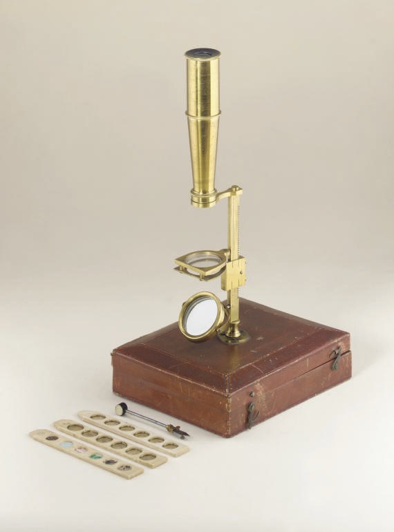 A lacquered-brass Gould-type botanist's microscope
