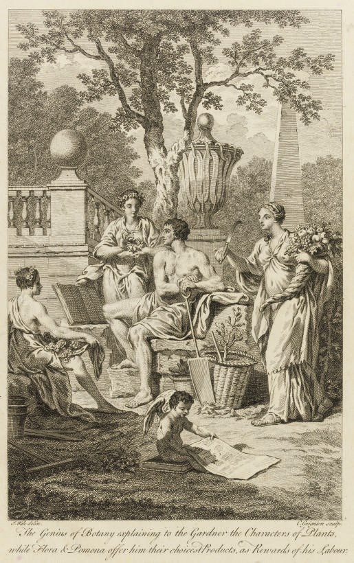 GESNER, Conrad (1516-1565) and Casimir Christoph SCHMIEDEL.  Opera Botanica. Nuremburg: J.M. Seligmann, 1754. One part only, [iv, half-title, title with engraved vignette, 2 leaves of dedication, the first with engraved vignette], LVIpp. One hand-coloured engraved plate (lightly browned) and 22 plain woodcut plates with 9 images on each.