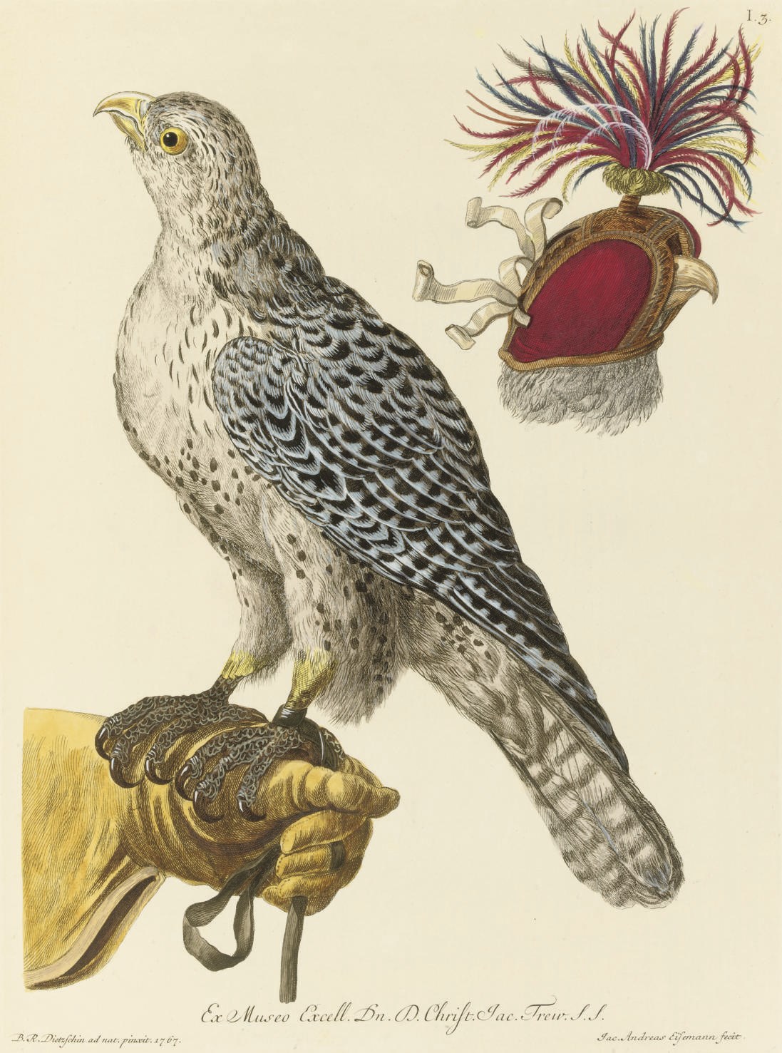 KNORR, Georg Wolfgang (1705-1761) & Phil. Ludw. Statius MÜLLER (1725-1776).  Deliciae naturae Selectae of Uitgeleezen Kabinet van Natuurlyke Zeldzaamheden ... Dordrecht: by Abraham Blussé and Son, 1771. 2 volumes, 2° (503 x 340mm). 4pp. list of subscribers, 91 fine hand-coloured engraved plates, one double-page (lacking the frontispiece found in some copies, although this is not called for by Nissen, one plate to vol. one with very light spotting). Contemporary Dutch mottled calf, covers with foliate scroll tool in gilt, spines rebacked (spines faded and rubbed, very slight wear to extremities, neat repairs to corners). Provenance: Hipp. Wouvermans (bookplates and stamp to pastedowns).
