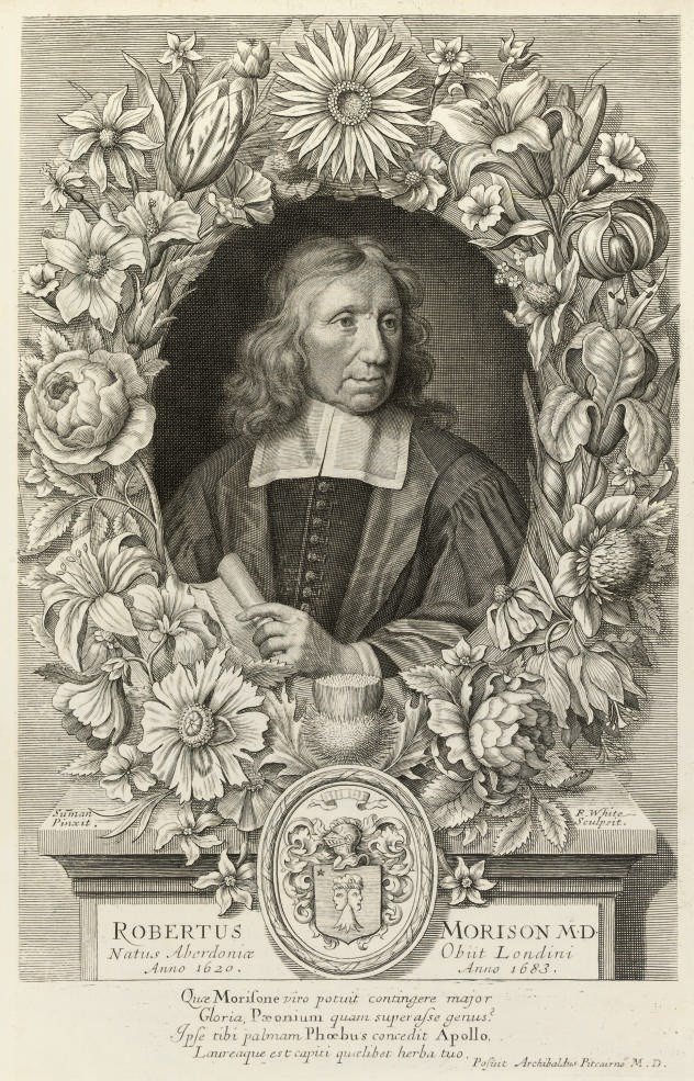 MORISON, Robert, (1620-1683).  Plantarum historiae universalis Oxoniensis. Oxford: P. & I. Vaillant, 1715-19. 3 volumes in 2, 2° (400 x 272 mm). Engraved frontispiece portrait bound in at beginning of vol. 3, 8 engraved tables, folding engraved plate with letterpress table, & 301 plates only (of 312), 279 of which printed recto & verso (folding plate chipped at corners and shaved close at head but without loss, very small hole to one plate, two plates lightly browned, two plates loose, small marginal hole to 3R1 in vol. 2 not affecting text, small hole to 2S4 in vol. 3 just touching a couple of letters, dampstain at gutter from 4A to end of vol. 3, gathering 4O loose in vol. 3). Contemporary vellum (slightly warped, worn with spines defective). Second edition complete with Plantarum Umbelliferarum Distrubutio Nova. 'Morison's [taxonomic] system was adopted by Paul Ammann and Paul Hermann, but generally found few followers. This situation perhaps reflected the relative isolation in which Morison had worked in his own lifetime: he seems, for example, never to have become a fellow of either the Royal Society or the Royal College of Physicians. He was frequently criticized for ingratitude to earlier writers, yet both Tournefort and Linnaeus looked back on him with justification as the principal pioneer of taxonomy in botany' (ODNB). Nissen BBI 1413. Sold not subject to return.	 (2)
