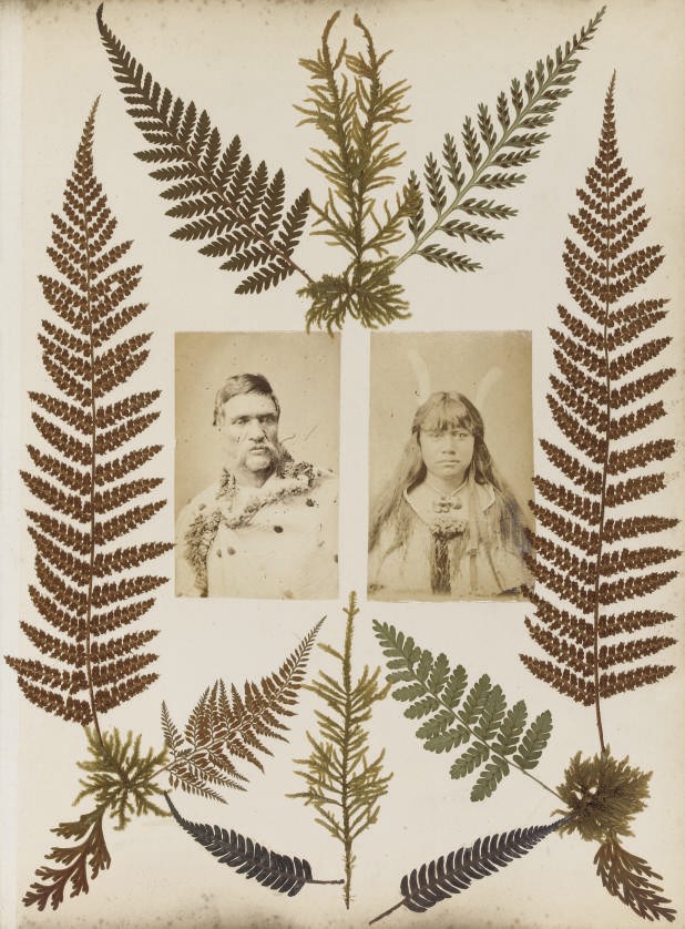 "New Zealand Ferns" [title stamped in gilt on upper cover]. A 4° (355 x 280mm) album, dating from c.1886, containing 22 original monochrome photographs by Burton Bros. of Maori people, mounted 2 to alternate pages, the borders and remainder of the album containing numerous specimens of ferns, some captioned in manuscript with Latin nomenclature, hinged throughout (some light marginal soiling). Contemporary red cloth gilt (extremities rubbed, some tearing to joints, lighly soiled). Provenance: "Presented to Mr. James Hamilton Merchant ... [?]Holytonn From his New Zealand Cousins Jane Hamilton Armstrong, Margaret Hamilton Thomson, Anne Hamilton Barnett, as a Token of Esteem, Dunedin, 24th July 1886" (calligraphic inscription on front pastedown).