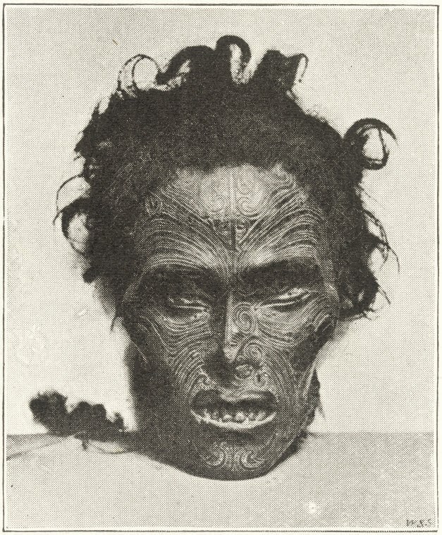 ROBLEY, Horatio Gordon (1840-1930).  Moko; or Maori Tattooing. London: Chapman and Hall, 1896. 4° (284 x 225mm). Half title, half tone frontispiece, 180 illustrations from drawings by the author and from photographs (a few occasional spots). Original publisher's cloth (front joint slightly marked, inner from hinge split at top and with remnants of adhesive tape, rubbed). With 4 autograph letters signed by the author to Robert Day, 7 St Alban's Place, 6 April 1904 and [n.d.], together 18 pages, 8vo, including sketches of heads and artefacts. Provenance: Robert Day (2 bookplates).