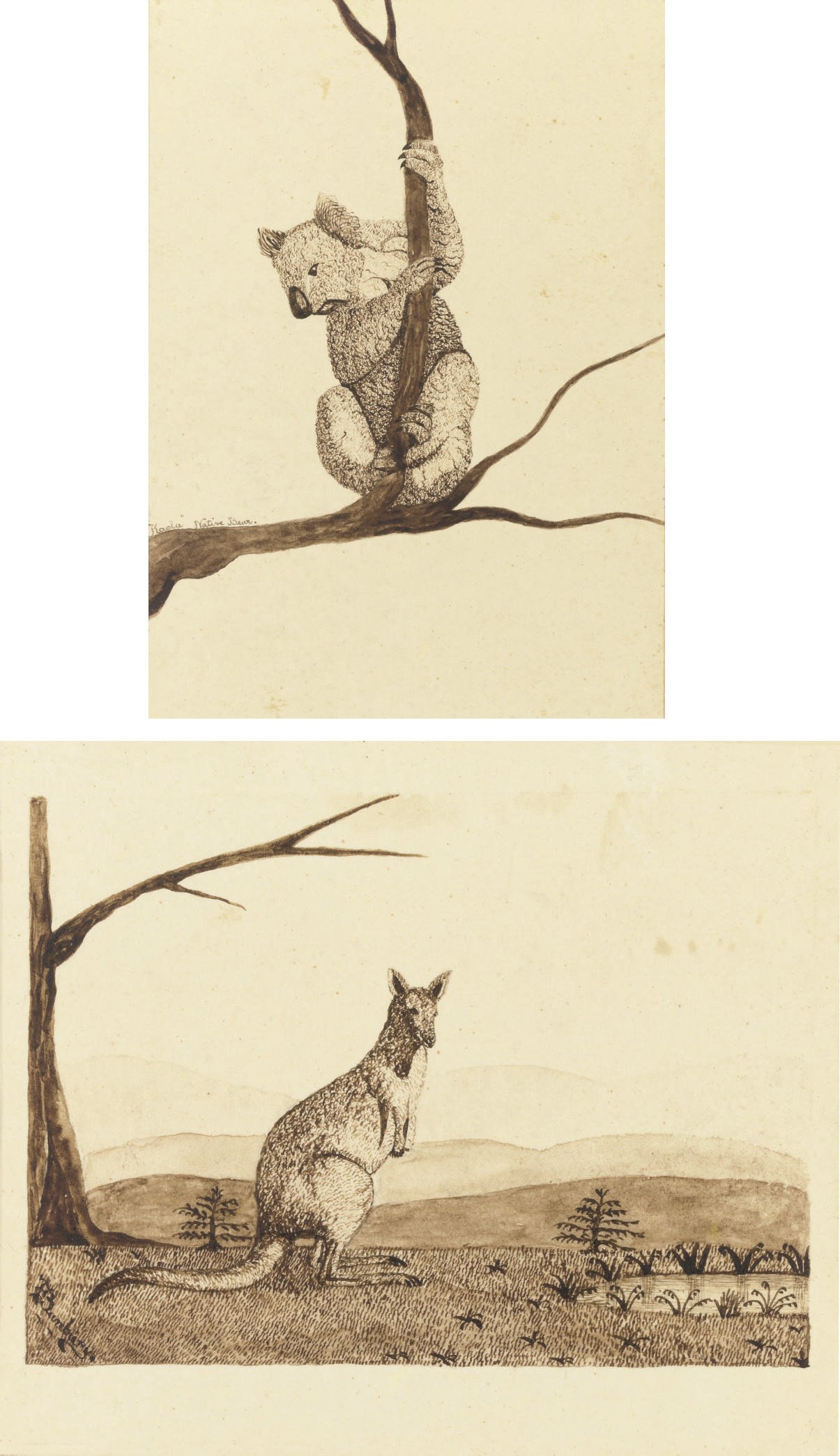 F.C.Bunbury (early 19th century)