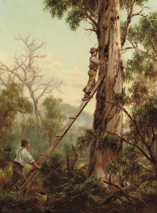 James Alfred Turner (1850-1908)