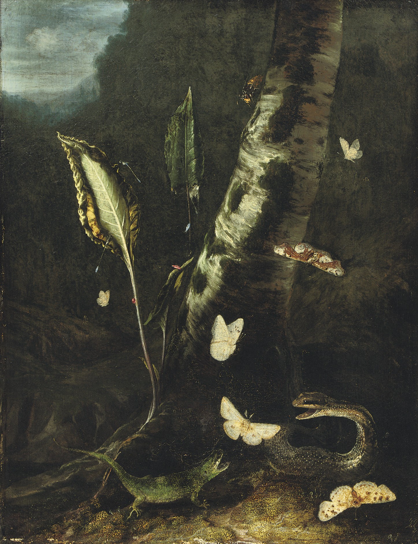 Otto Marseus van Schrieck (Nijmegen 1619-1678 Amsterdam)