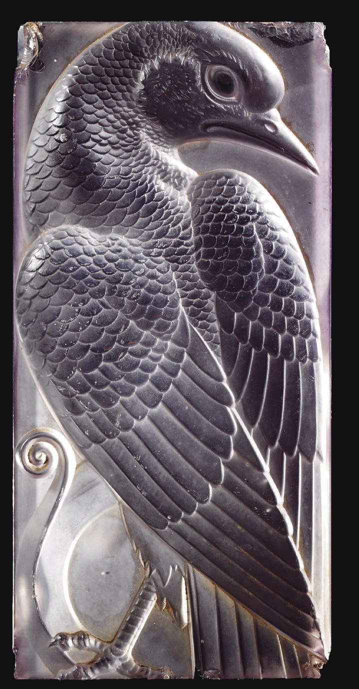 OISEAUX ET SPIRALLES