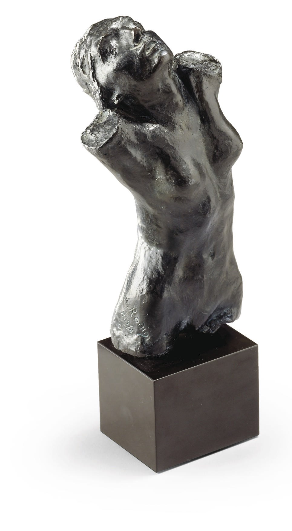 AUGUSTE RODIN (1840-1917)