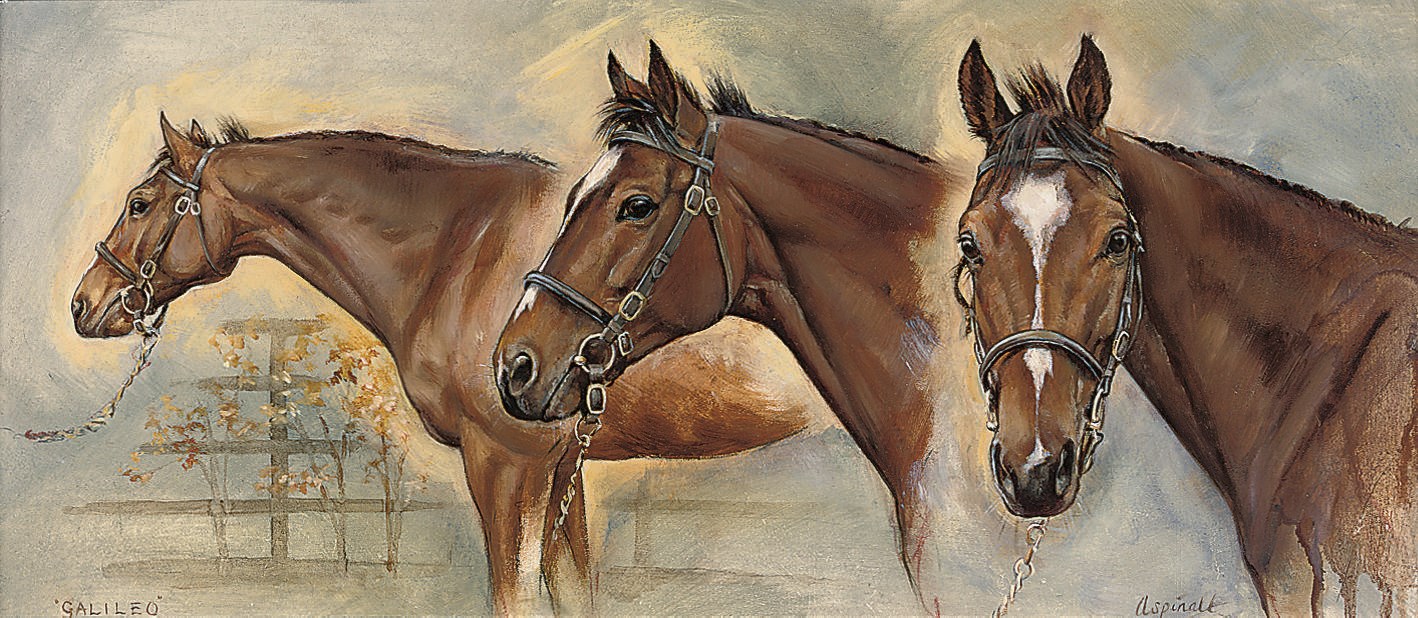 Sarah Aspinall (b. 1965)
