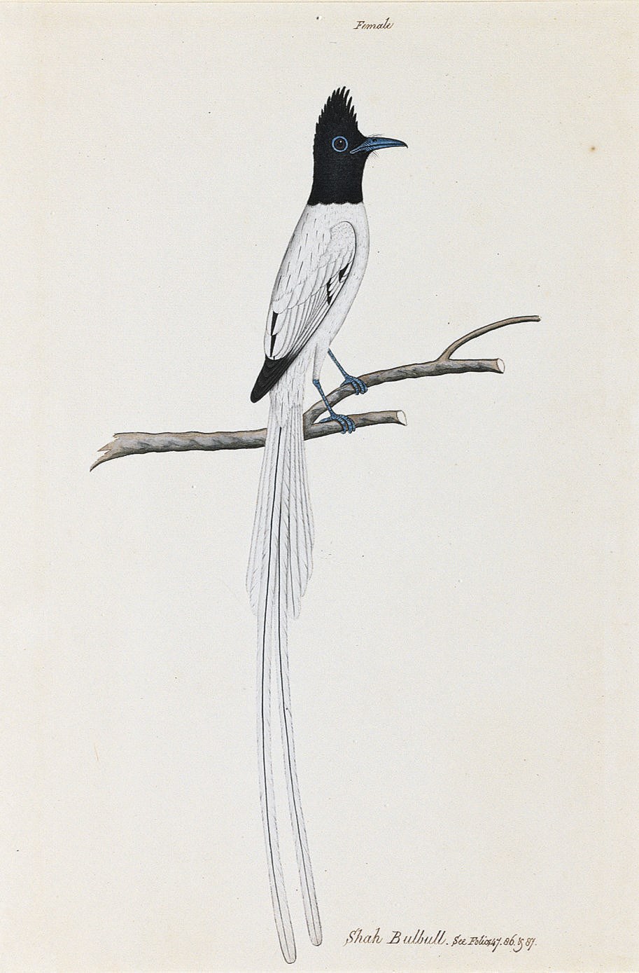 Calcutta School, circa 1810
