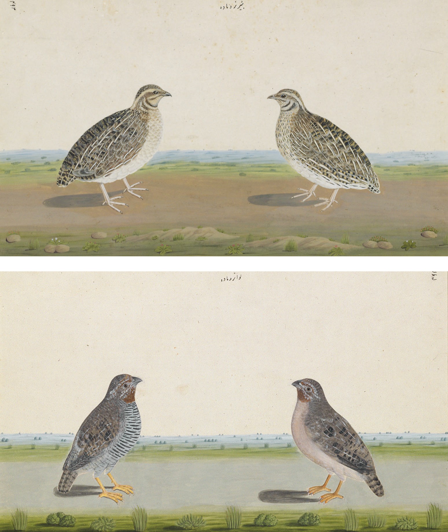 Lucknow School, circa 1775-1785