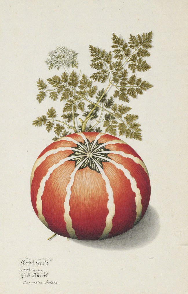 German School, 17th Century