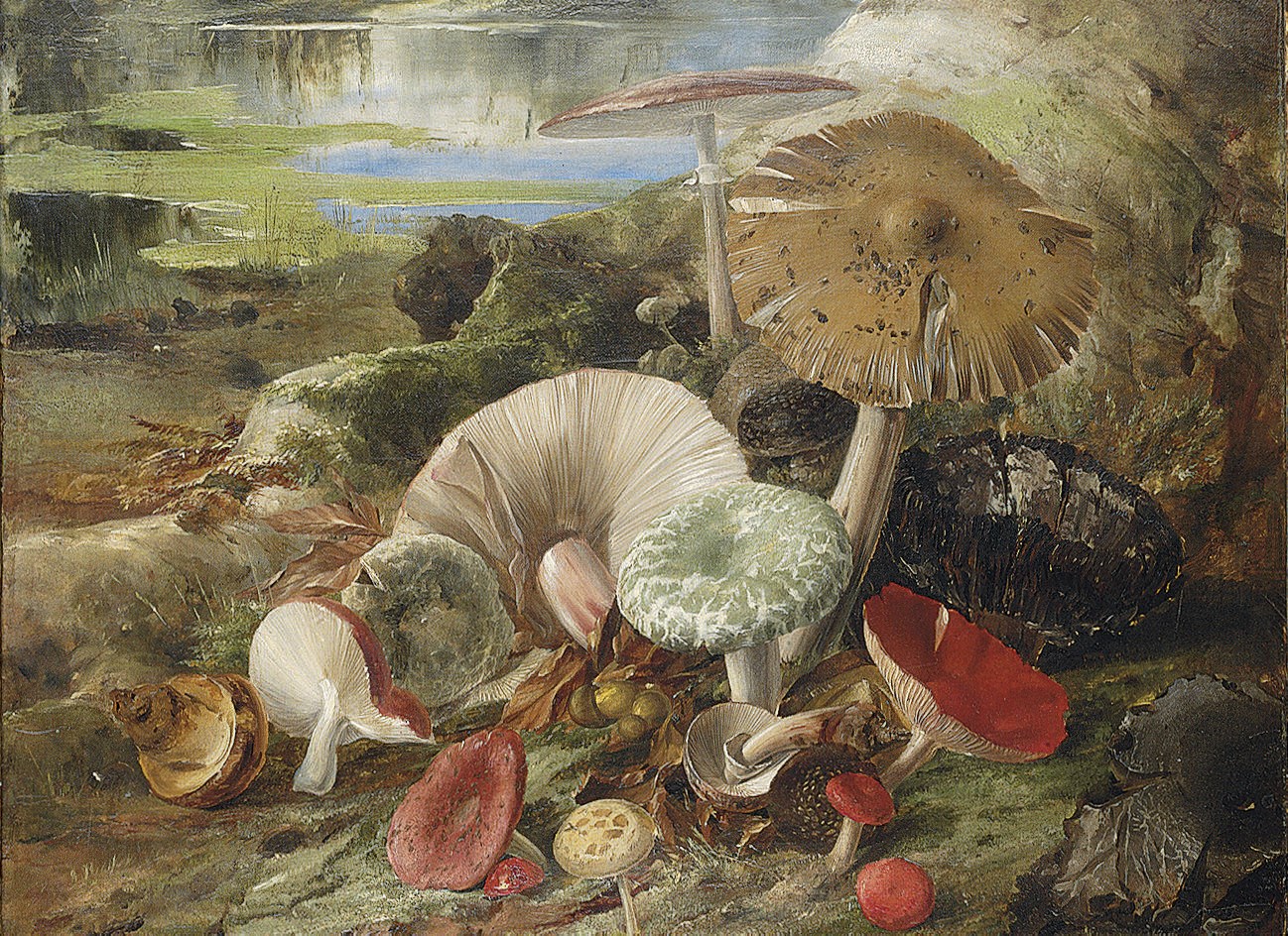 English School, 19th Century