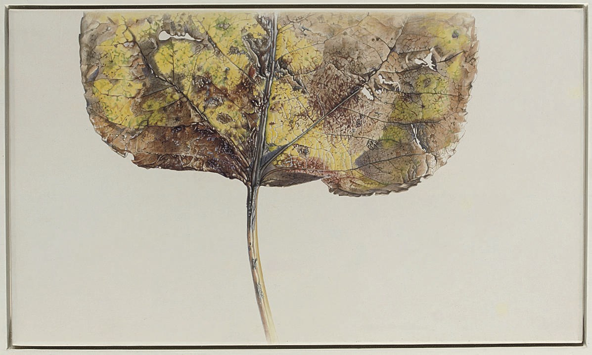 Rory McEwen (1932-1982)