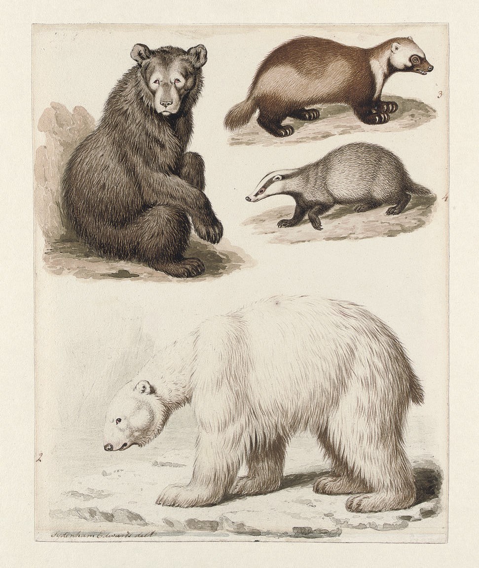 Sydenham Teak Edwards (1768-1819)