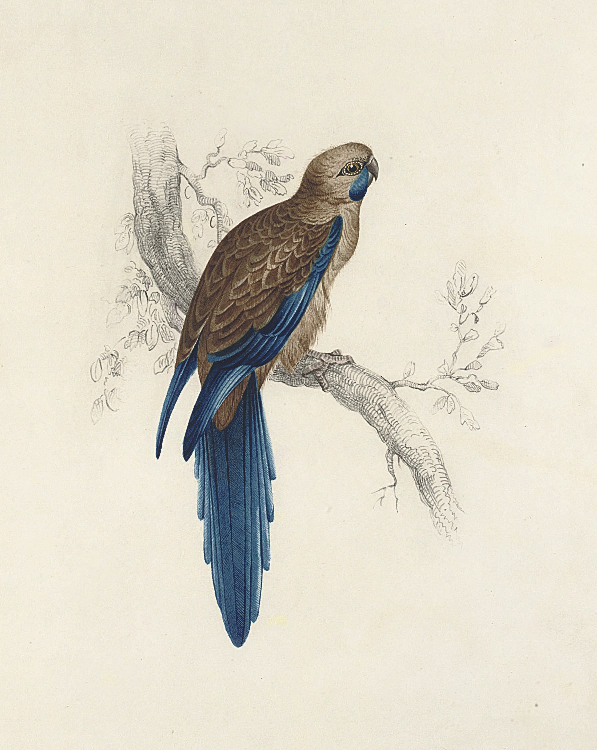Edward Lear (1812-1888)