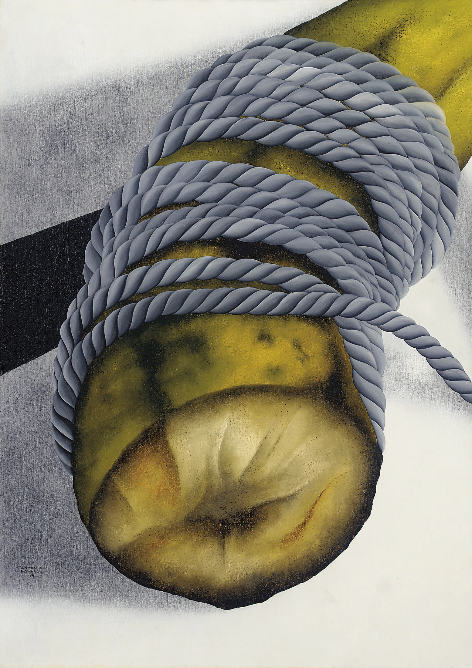 Antonio Henrique Amaral (Brazilian B. 1935)