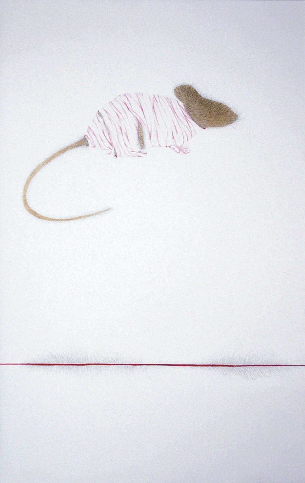 Mohammad Zeeshan (b. 1980)