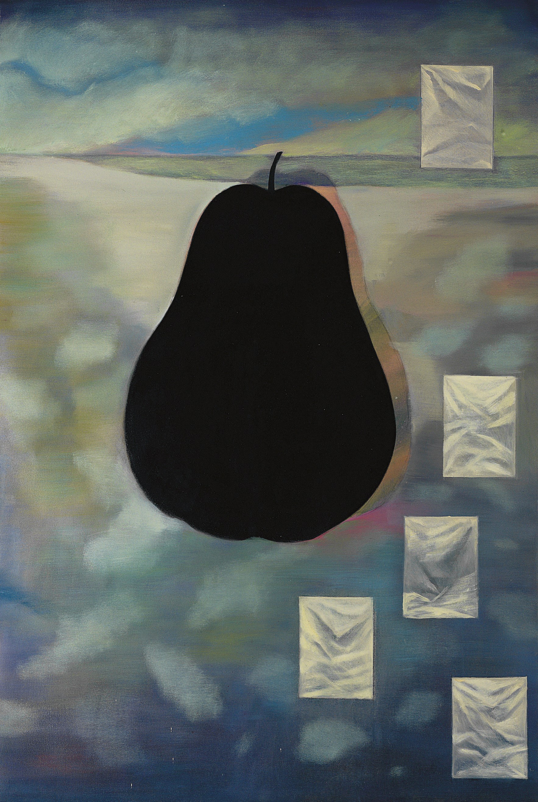 SUDARSHAN SHETTY (B. 1961)