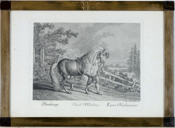 JOHANN ELIAS RIDINGER (1698-1767)