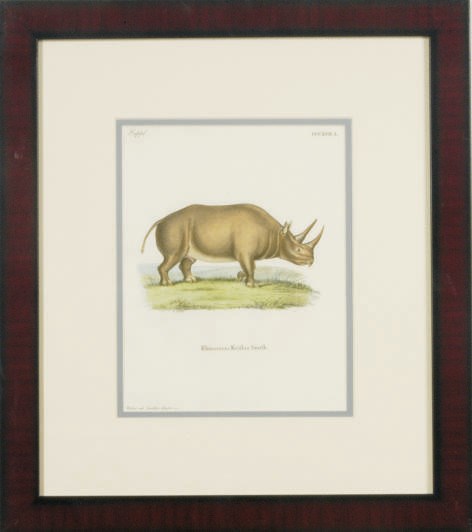 After Georges Louis Leclerc Buffon (1707-1788) and others