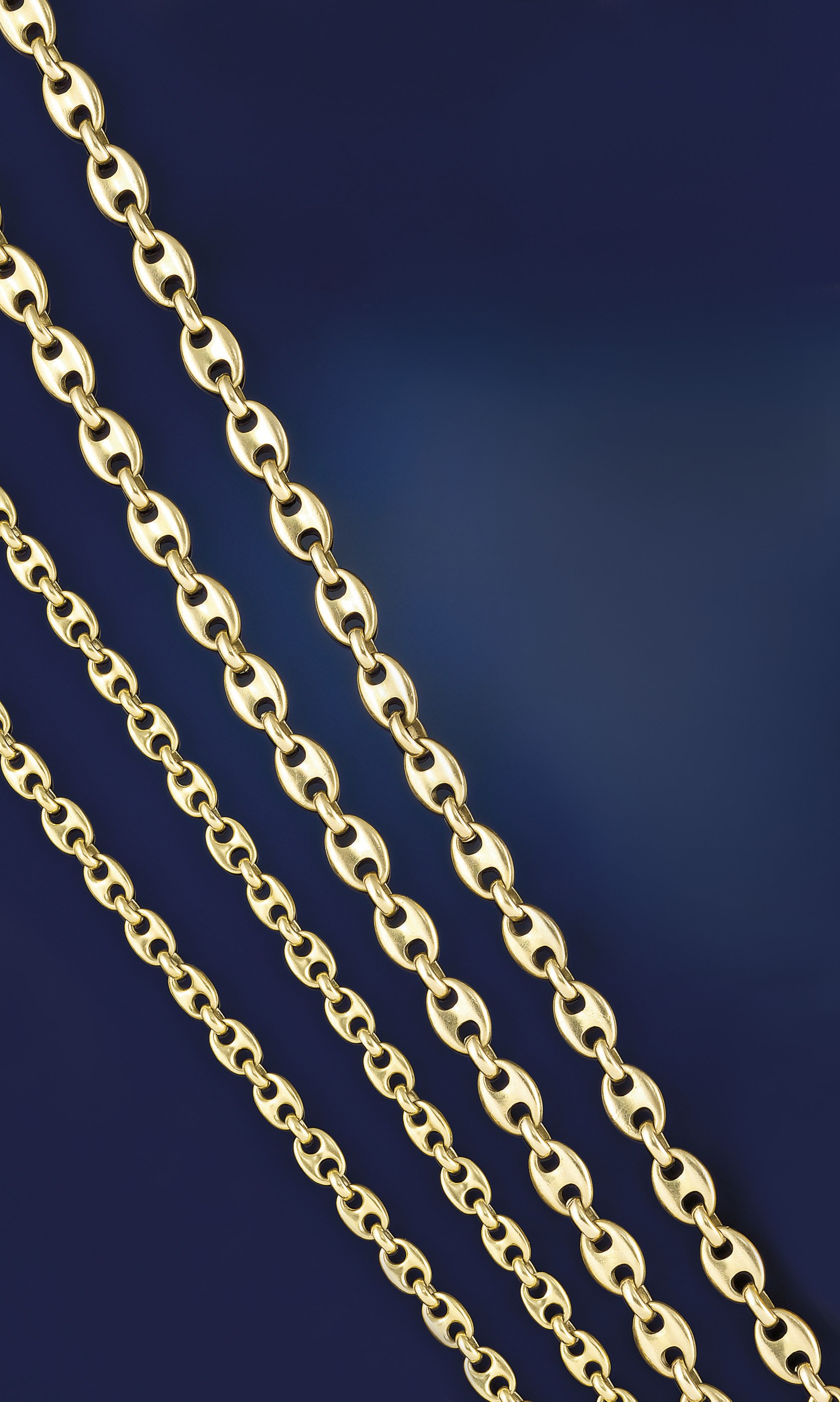 Two long chain necklaces