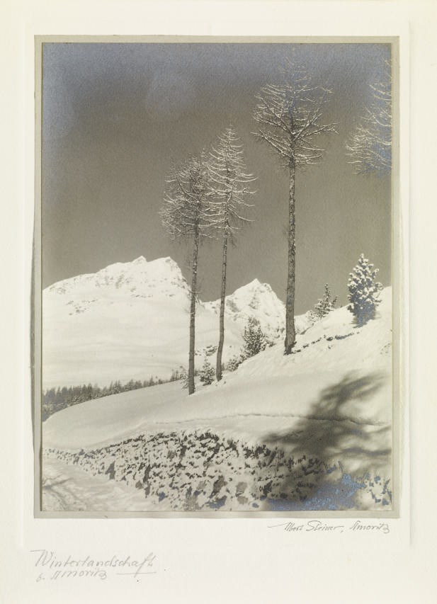 ALBERT STEINER (1877-1965)