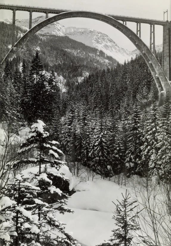 ALBERT STEINER (1877-1965)