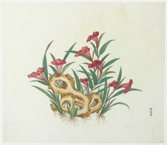 CHINESE SCHOOL, 19TH CENTURY