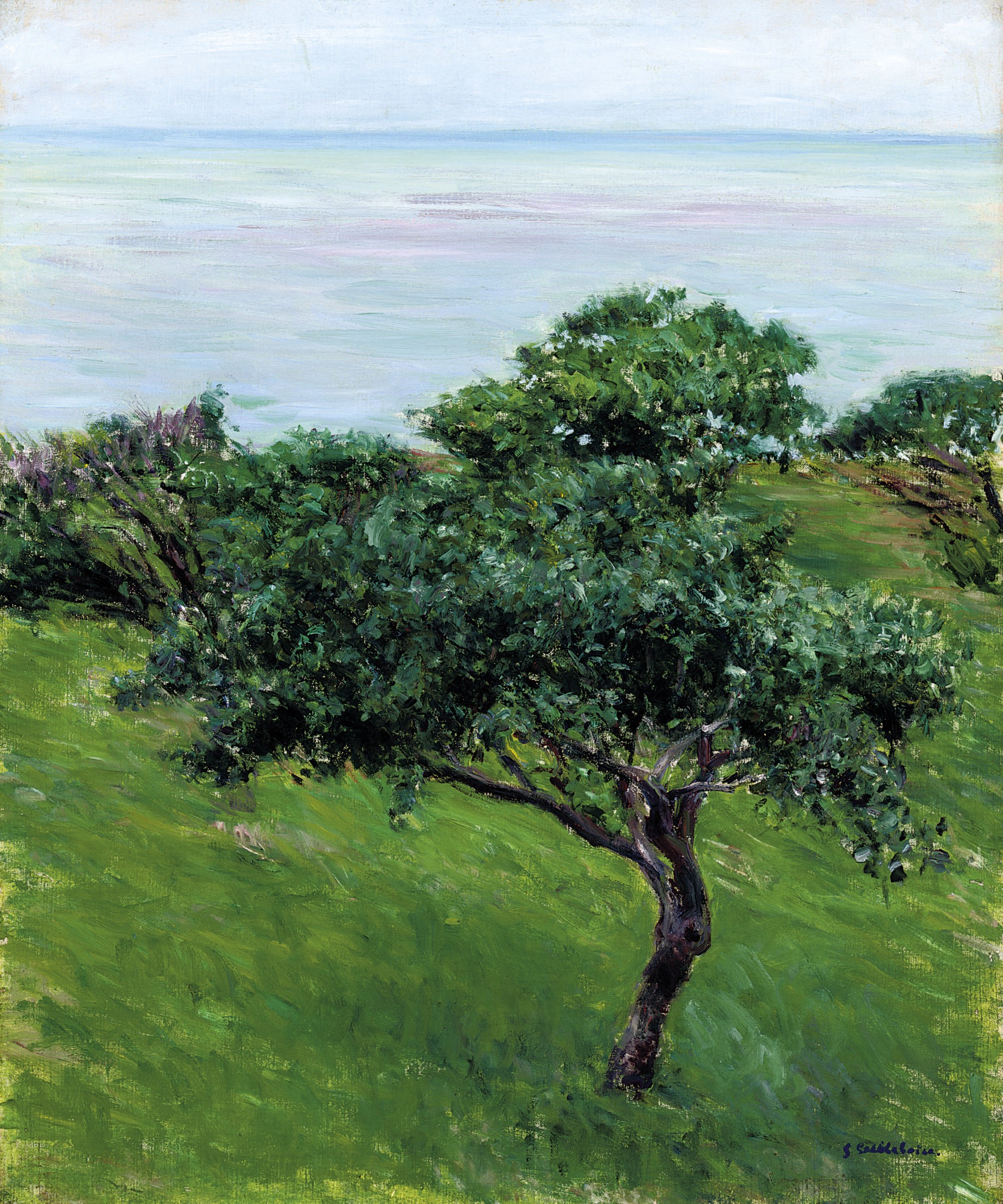 Gustave Caillebotte (1848-1894)