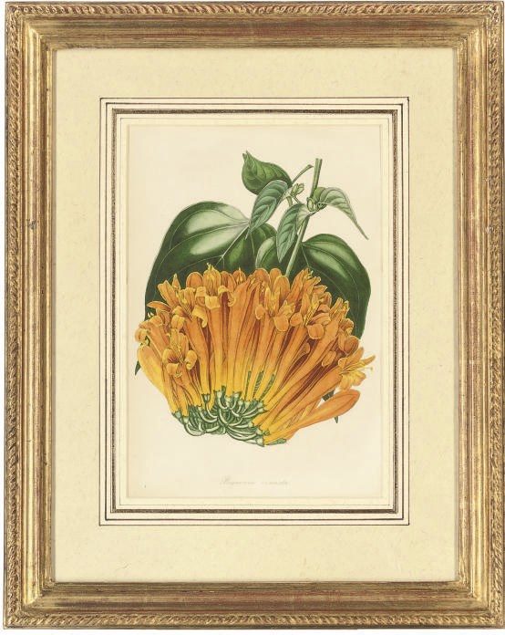 S. Holden, 19th Century